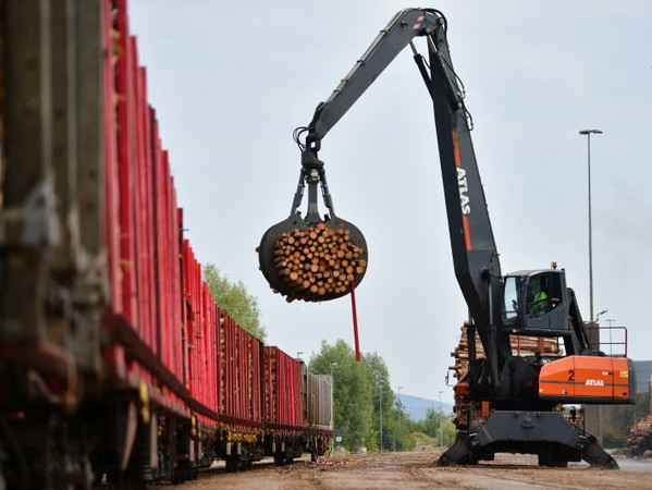 Ein Kran verlädt Rundholz auf einen flachen Güterwagen mit senkrechten Streben, einen so genannten Rungenwagen. Foto: Deutsche Bahn AG/Oliver Lang